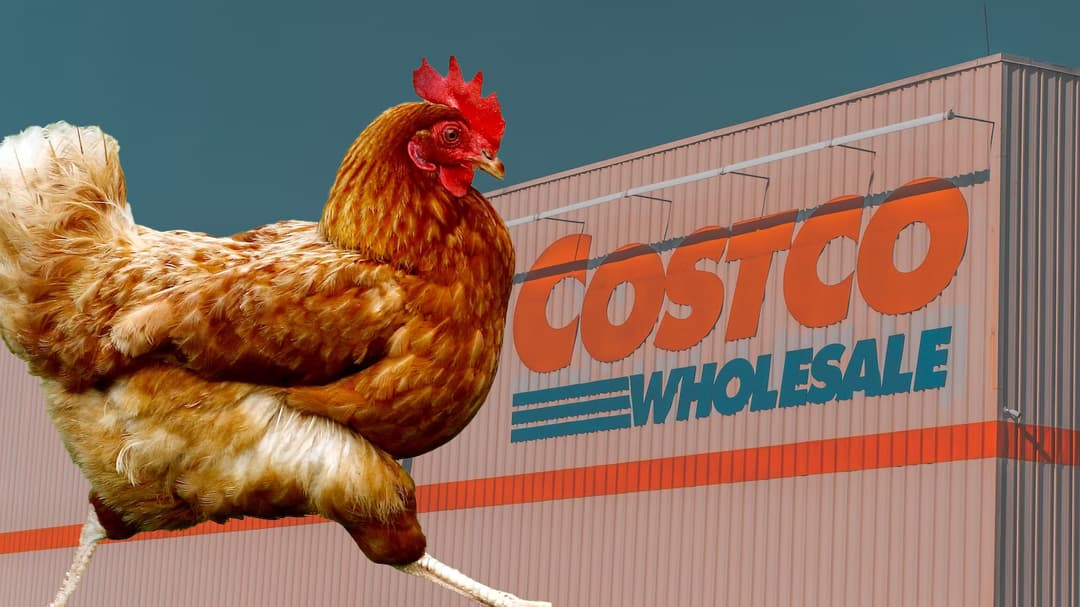 Costco customers “perplexed” by sauce for nuevo food court item