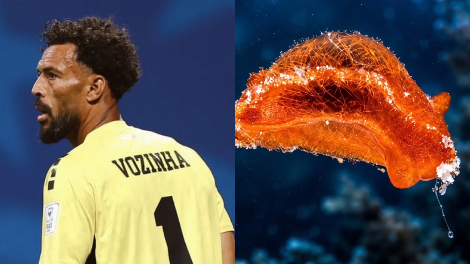 Historia viral del día: Scientists / Cape / Verde