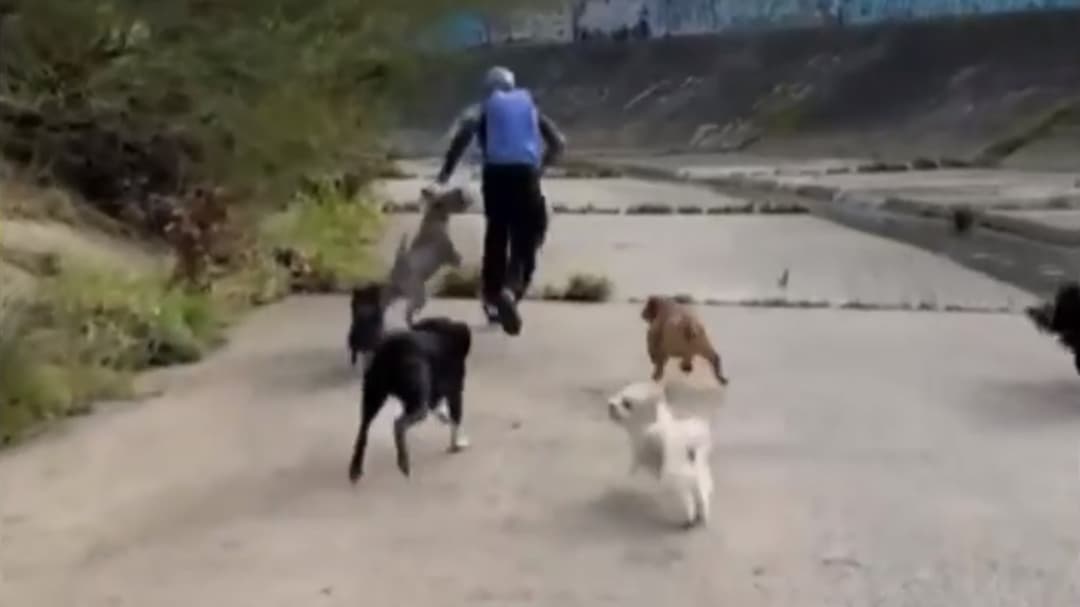 Entretenimiento mira de cerca el caso de Hero