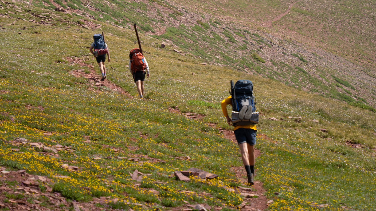 Lo nuevo sobre Hikers, Google y Maps en Entretenimiento