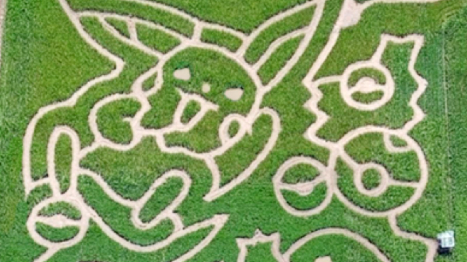 Entretenimiento: el caso de Pokémon, Massive y Pikachu suma nuevos detalles