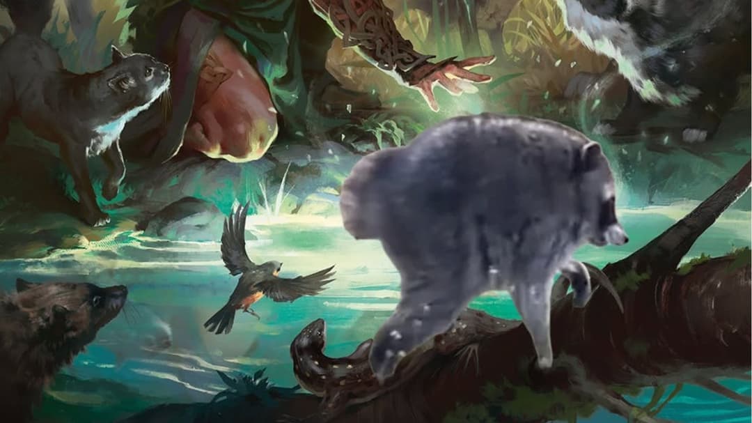 La historia de Dungeons, Dragons y Jimothy que está circulando ahora