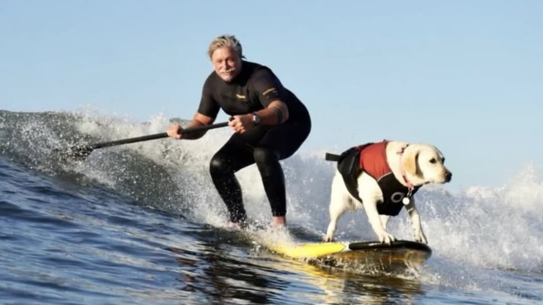 Mujer y su perro superan el cáncer y compiten en campeonatos de surf canino