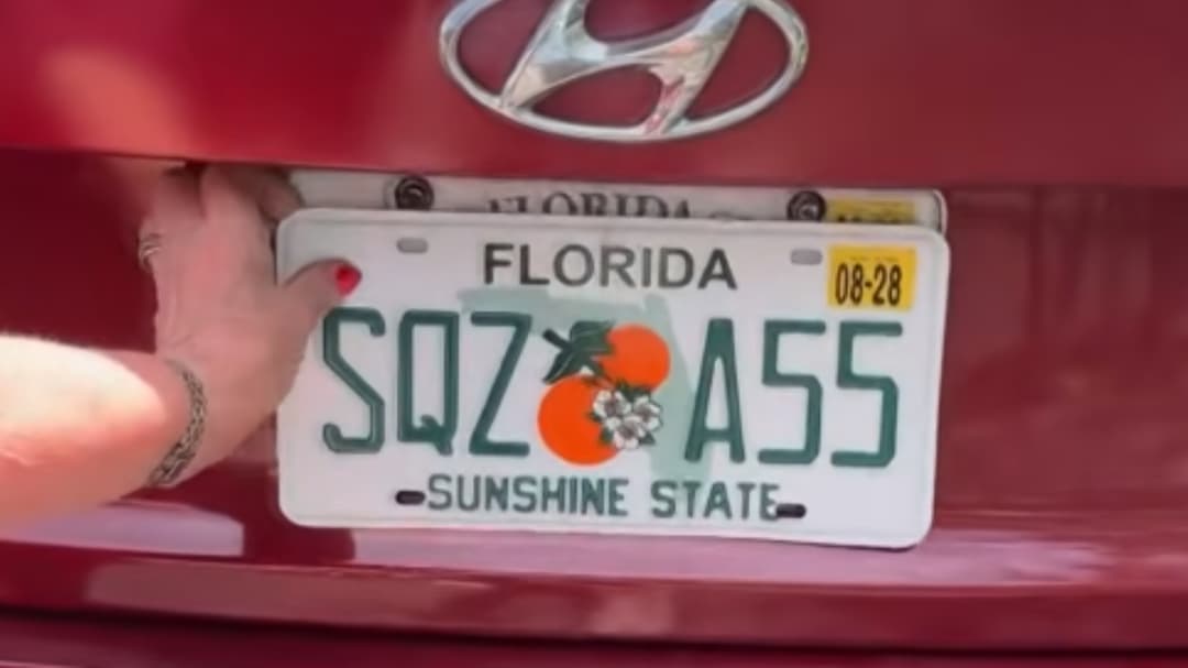 Nuevo tema para seguir en Entretenimiento: Elderly / Florida / SQZ aparece entre lo más reciente