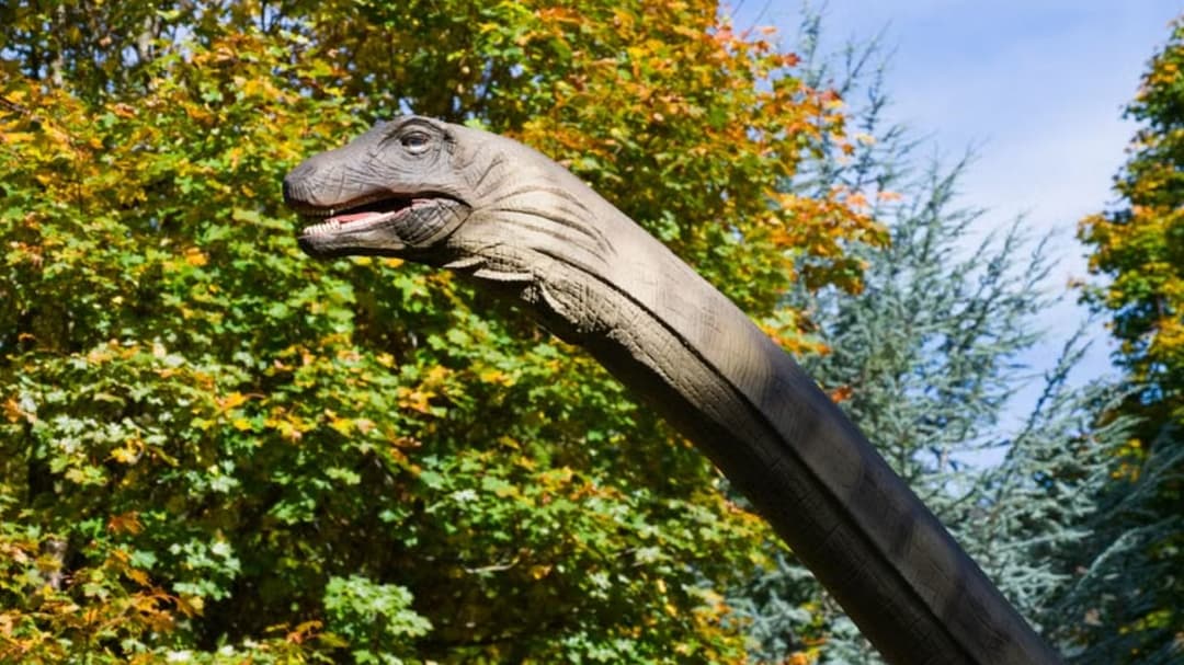 Scientists discover nuevo massive dinosaur hidden under Thailand for millions of years
