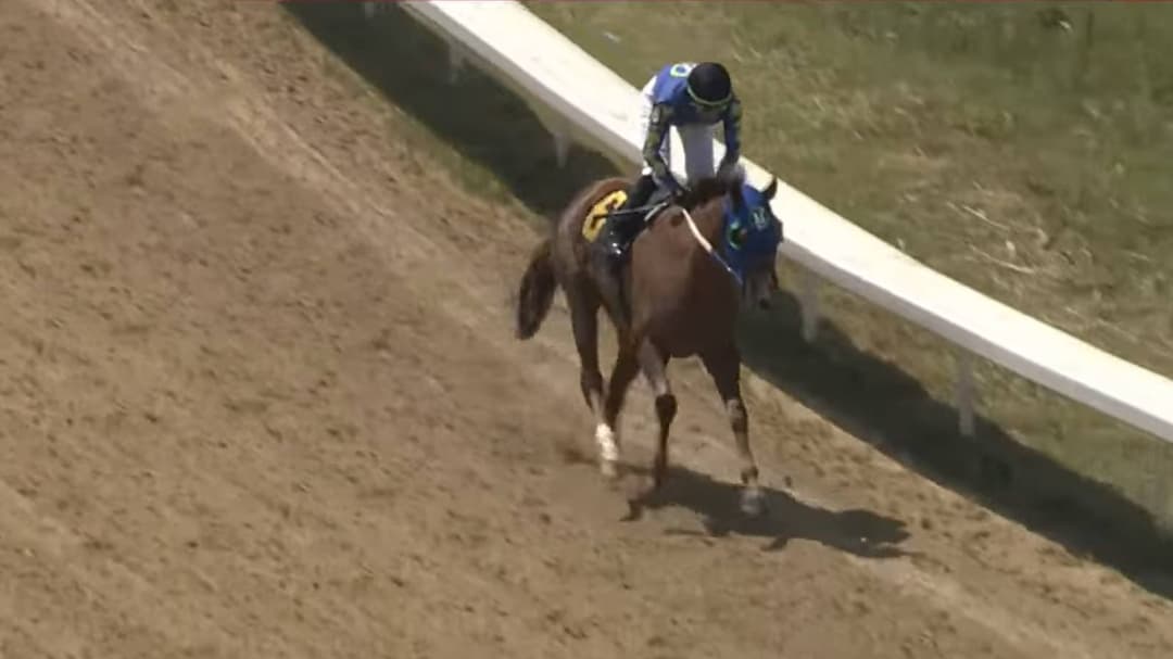 Skibidi Rizz gana dos carreras seguidas en Ohio y vuelve viral al caballo del brainrot