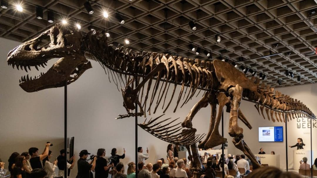 T-rex marca una noticia nueva dentro de Entretenimiento